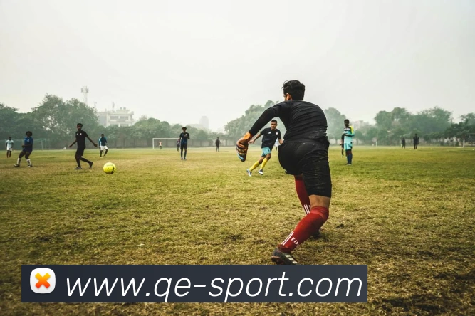 企鹅体育APP 封面图